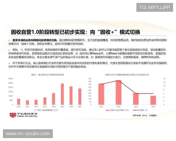 围绕塔尔比桑德兰的历史演变文化影响与未来发展全景解析深度研究探讨